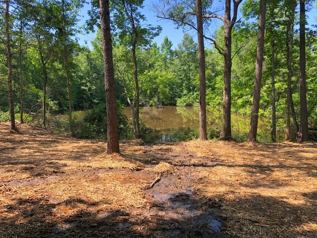 03 Eugene Walker Road, Huntington, TX 75980