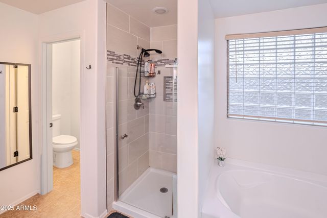 44165 W KRAMER Lane, Maricopa, AZ 85138