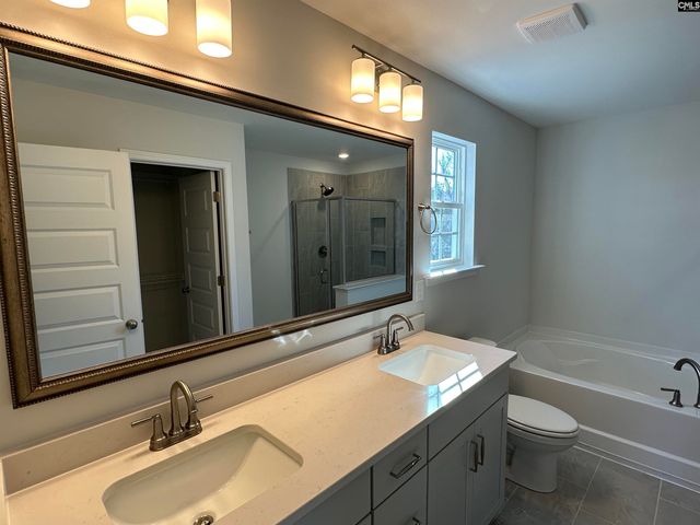 302 Rising Stream Way, Chapin, SC 29036