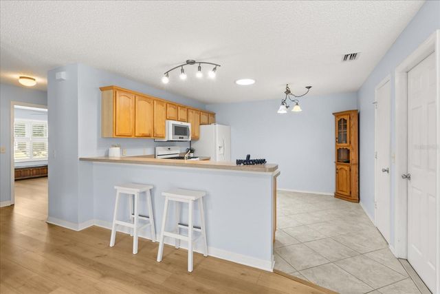 300 VARNVILLE WAY, The Villages, FL 32162