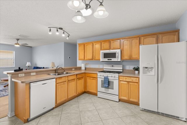 300 VARNVILLE WAY, The Villages, FL 32162