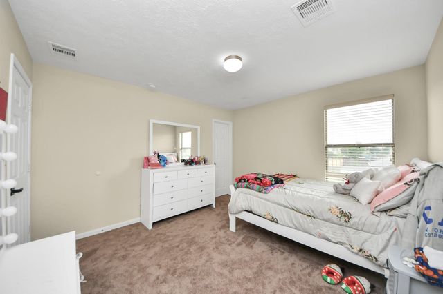 19110 Remington Springs Drive, Houston, TX 77073