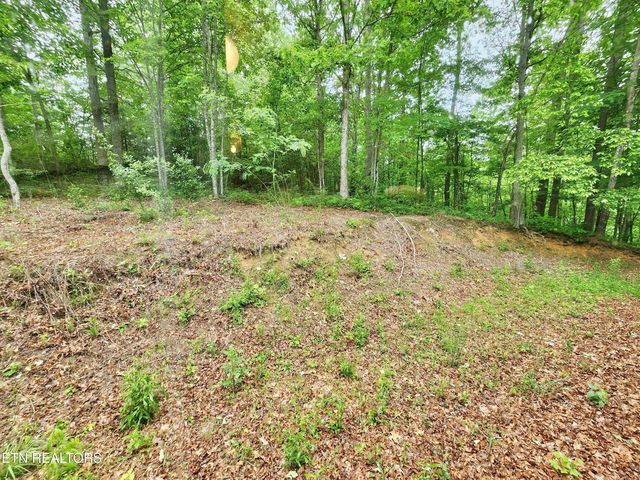334 Corrington Lane, Lafollette, TN 37766