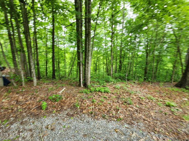 334 Corrington Lane, Lafollette, TN 37766