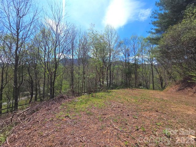 50 Turtle Rock Lane 6, Waynesville, NC 28785