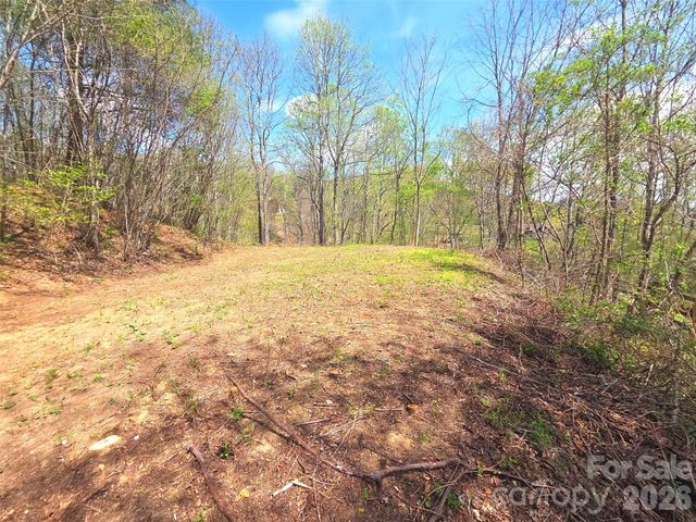 50 Turtle Rock Lane 6, Waynesville, NC 28785