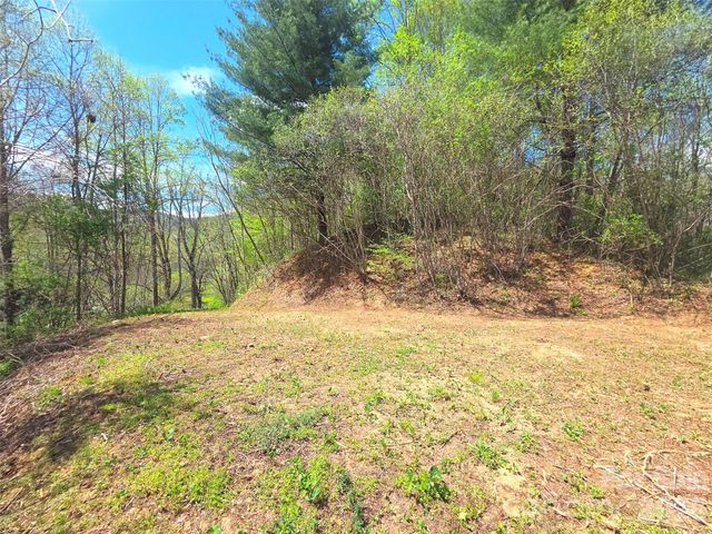 50 Turtle Rock Lane 6, Waynesville, NC 28785