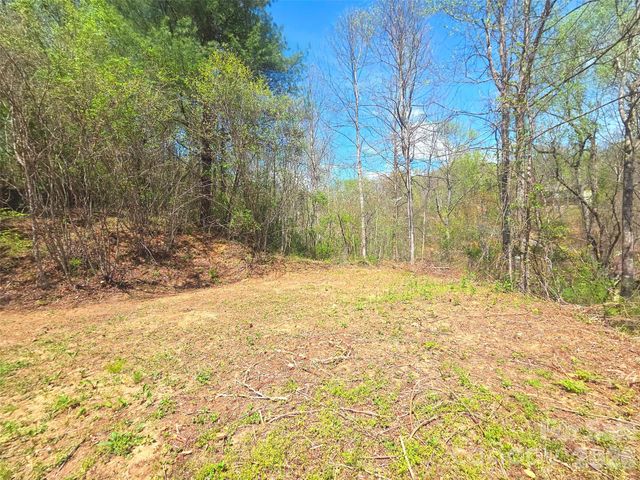 50 Turtle Rock Lane 6, Waynesville, NC 28785