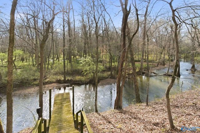 112 Clear Springs Circle, Hazel Green, AL 35750