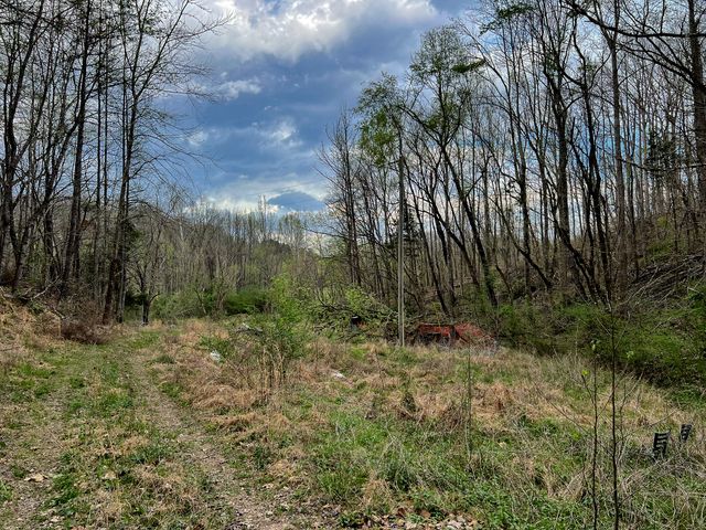 1755 Williams Rd, Centerville, TN 37033