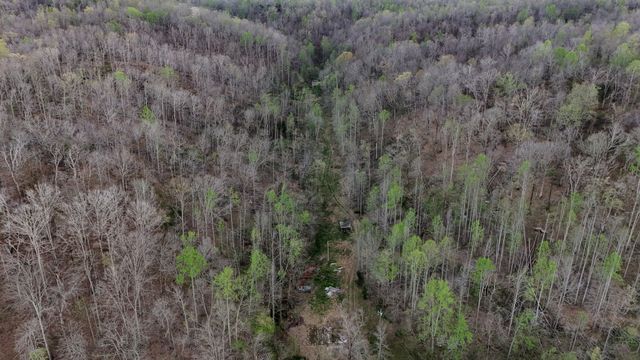 1755 Williams Rd, Centerville, TN 37033