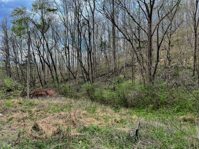 1755 Williams Rd, Centerville, TN 37033