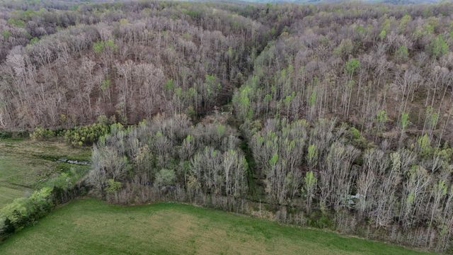 1755 Williams Rd, Centerville, TN 37033