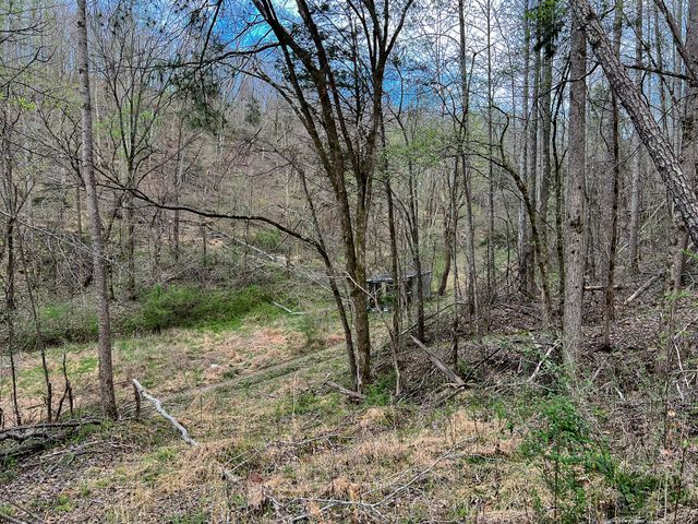 1755 Williams Rd, Centerville, TN 37033