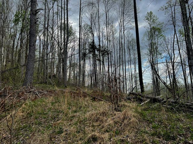 1755 Williams Rd, Centerville, TN 37033
