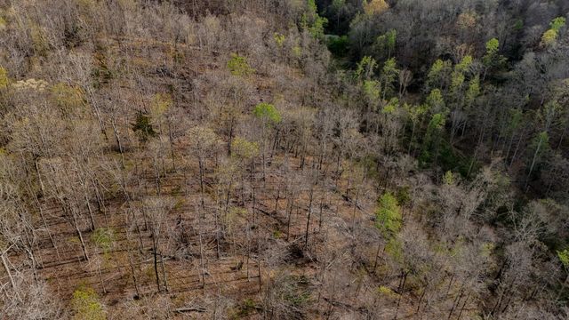 1755 Williams Rd, Centerville, TN 37033