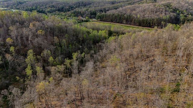 1755 Williams Rd, Centerville, TN 37033