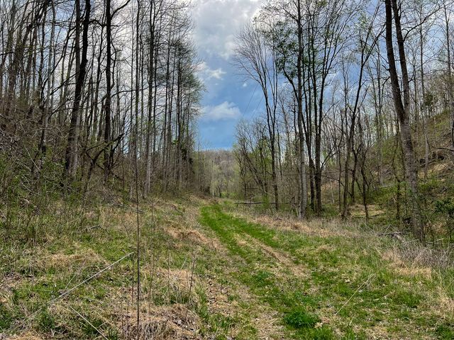 1755 Williams Rd, Centerville, TN 37033