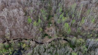 1755 Williams Rd, Centerville, TN 37033