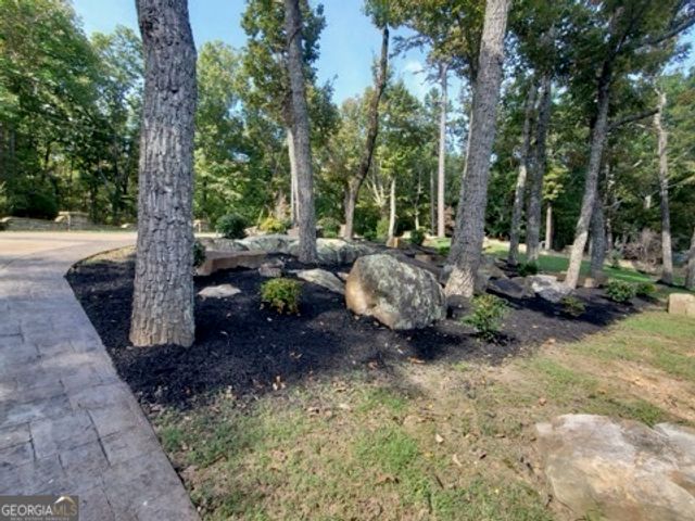 223 South Brow Drive, Cloudland, GA 30731