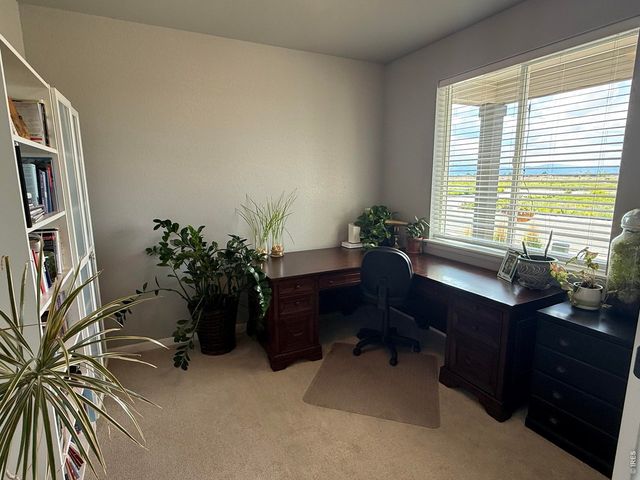 709 Hillspire Dr, Windsor, CO 80550