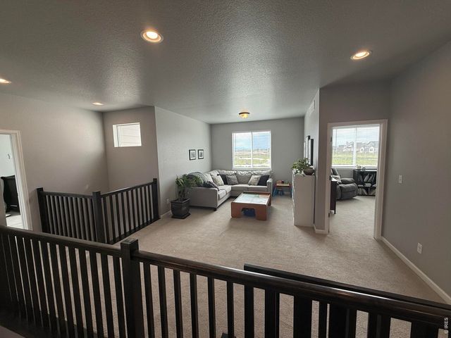 709 Hillspire Dr, Windsor, CO 80550