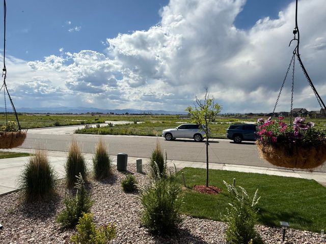 709 Hillspire Dr, Windsor, CO 80550