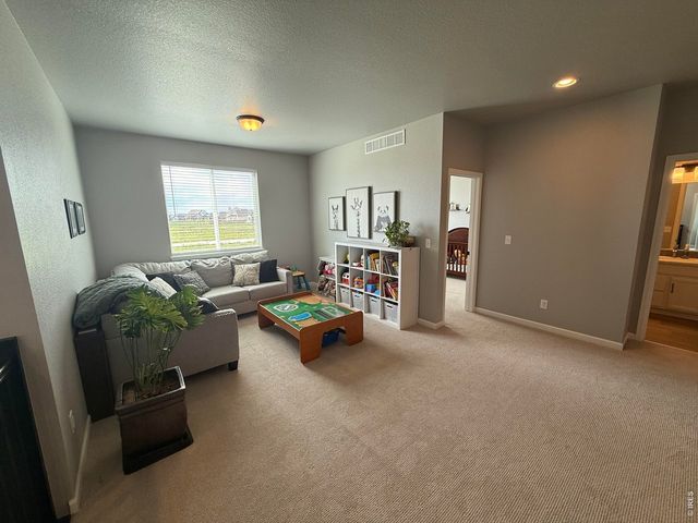 709 Hillspire Dr, Windsor, CO 80550