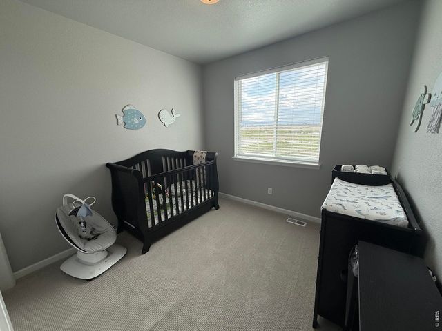 709 Hillspire Dr, Windsor, CO 80550
