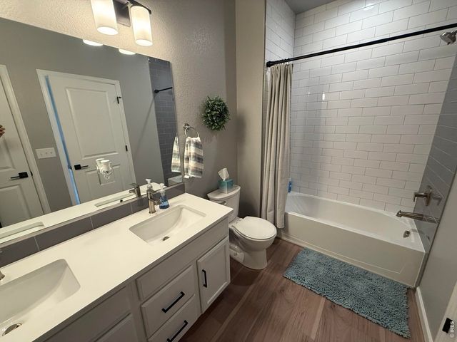 709 Hillspire Dr, Windsor, CO 80550