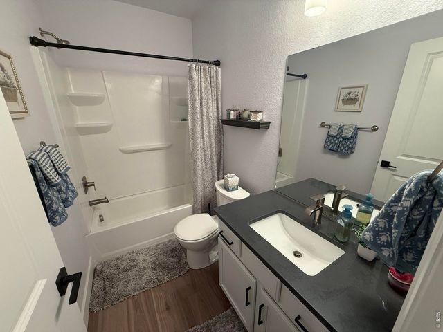 709 Hillspire Dr, Windsor, CO 80550