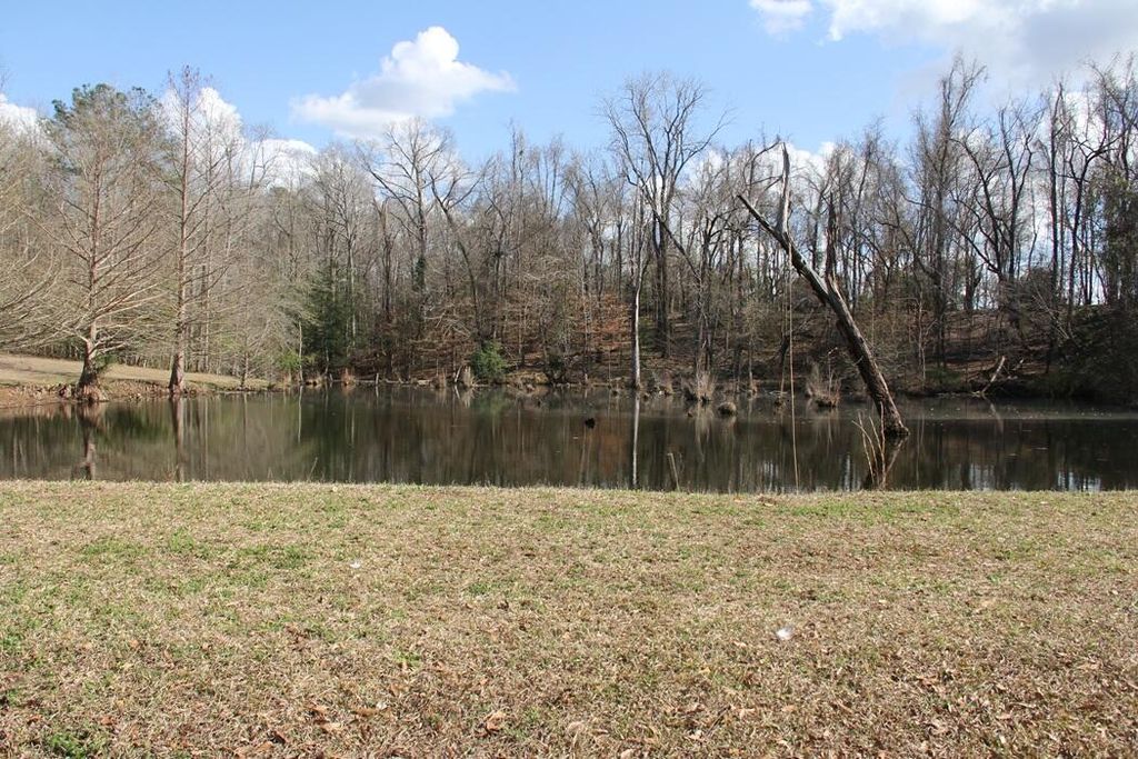 Image 13 of property listing at 6611 North Road, North, SC 29112