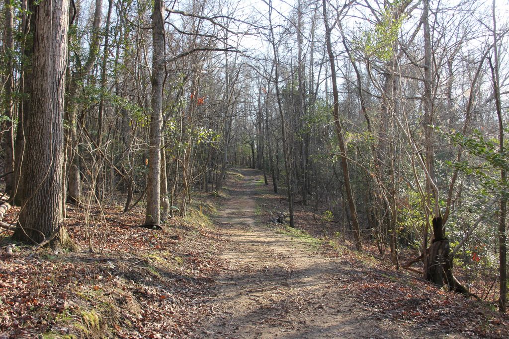 Image 37 of property listing at 6611 North Road, North, SC 29112