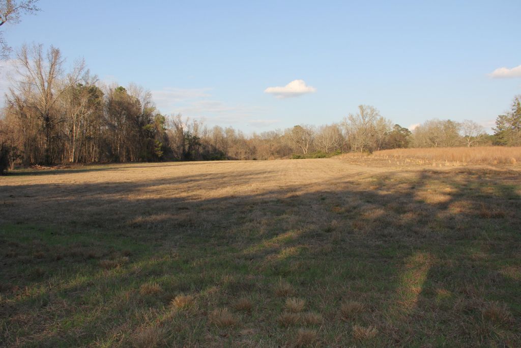 Image 39 of property listing at 6611 North Road, North, SC 29112