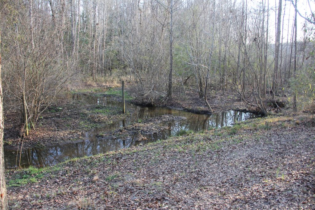 Image 40 of property listing at 6611 North Road, North, SC 29112