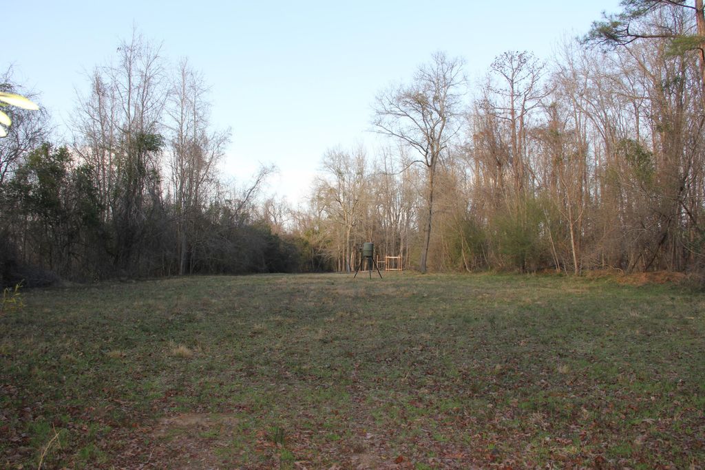 Image 41 of property listing at 6611 North Road, North, SC 29112
