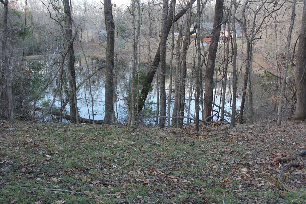 Image 42 of property listing at 6611 North Road, North, SC 29112