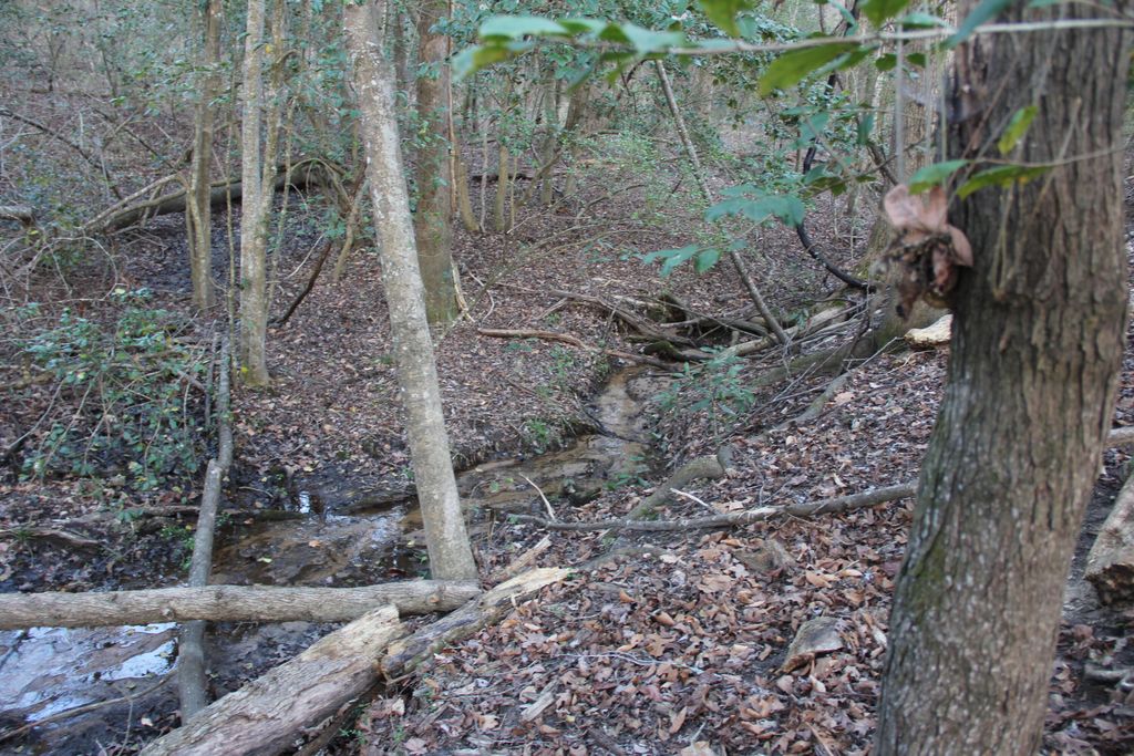 Image 44 of property listing at 6611 North Road, North, SC 29112