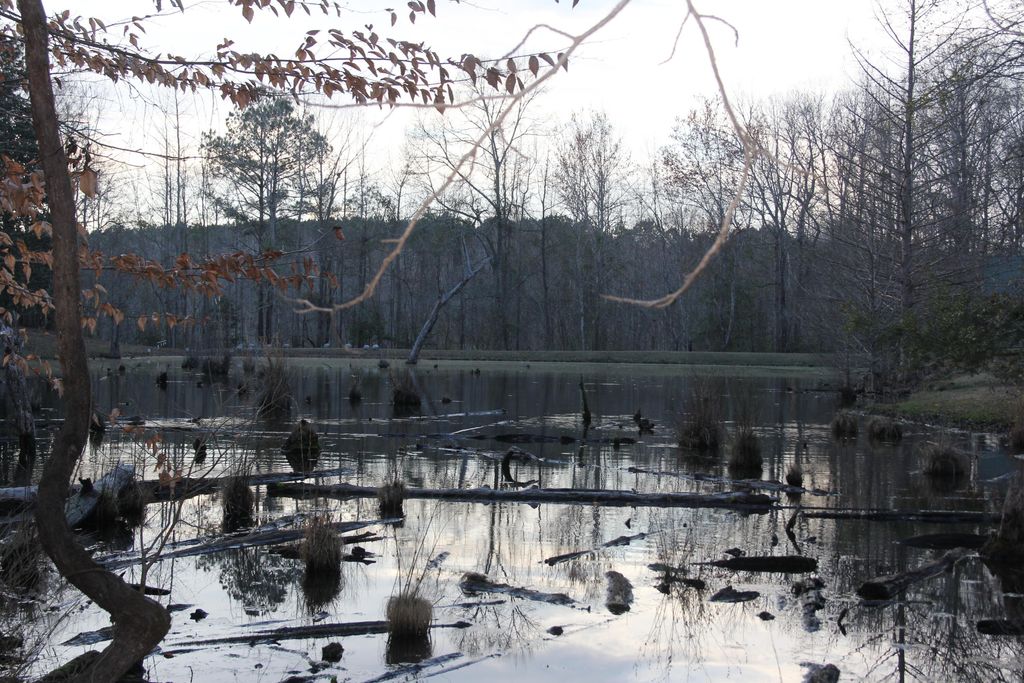 Image 45 of property listing at 6611 North Road, North, SC 29112