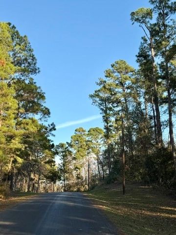 TBD Sunset Drive, Onalaska, TX 77360