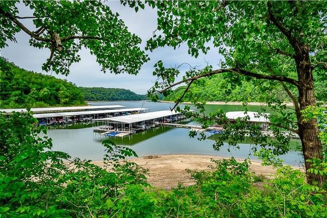 392 Winter Park Cir, Smithville, TN 37166