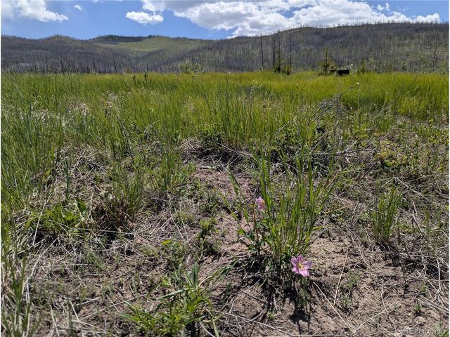 908 Forbes Park Rd, Fort Garland, CO 81133