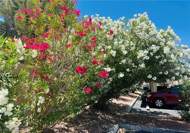 517 Indian Bluff Street 202, Las Vegas, NV 89145
