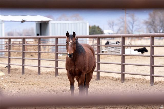 7702 S 3300 W, Spanish Fork, UT 84660