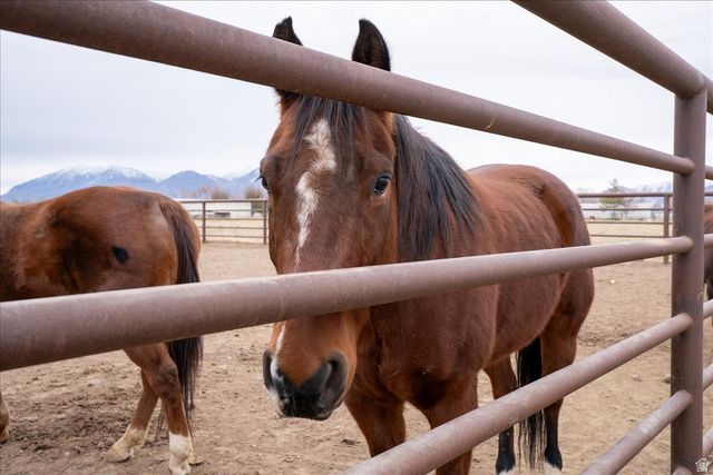 7702 S 3300 W, Spanish Fork, UT 84660