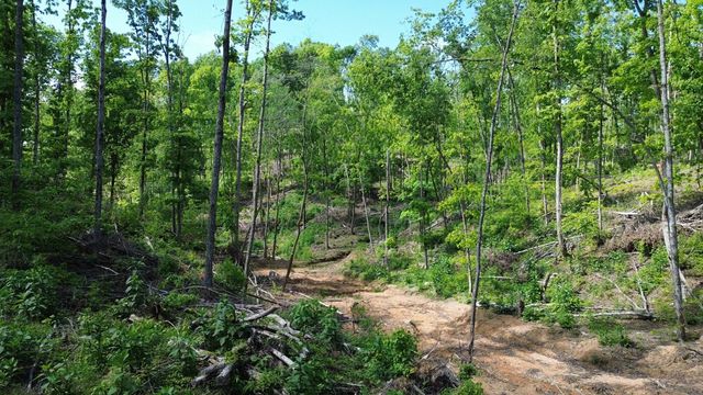535 Highwater rd, Waverly, TN 37185