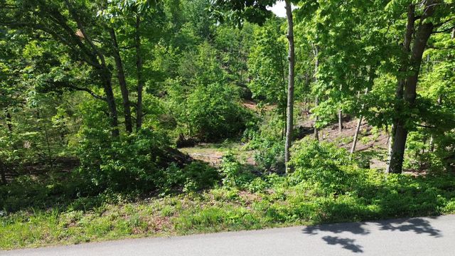 535 Highwater rd, Waverly, TN 37185