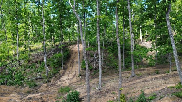 535 Highwater rd, Waverly, TN 37185