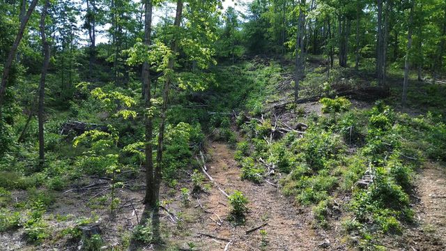 535 Highwater rd, Waverly, TN 37185