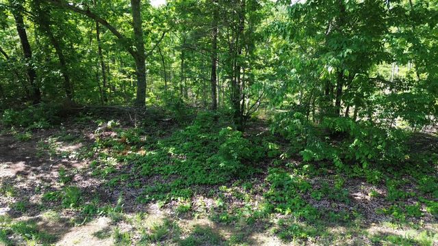 535 Highwater rd, Waverly, TN 37185